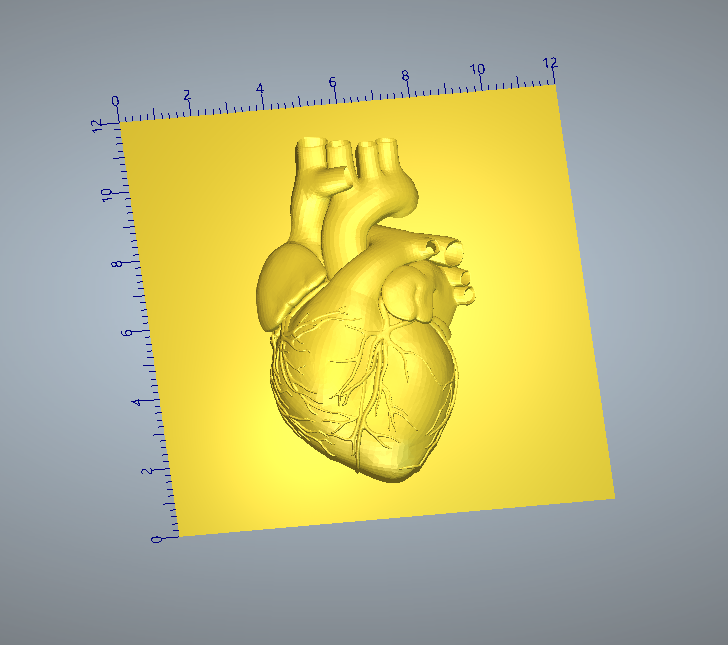 Realistic Heart 3D / Relief File