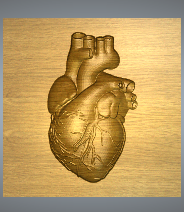 Realistic Heart 3D / Relief File